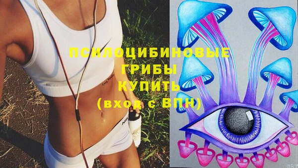 скорость Алзамай